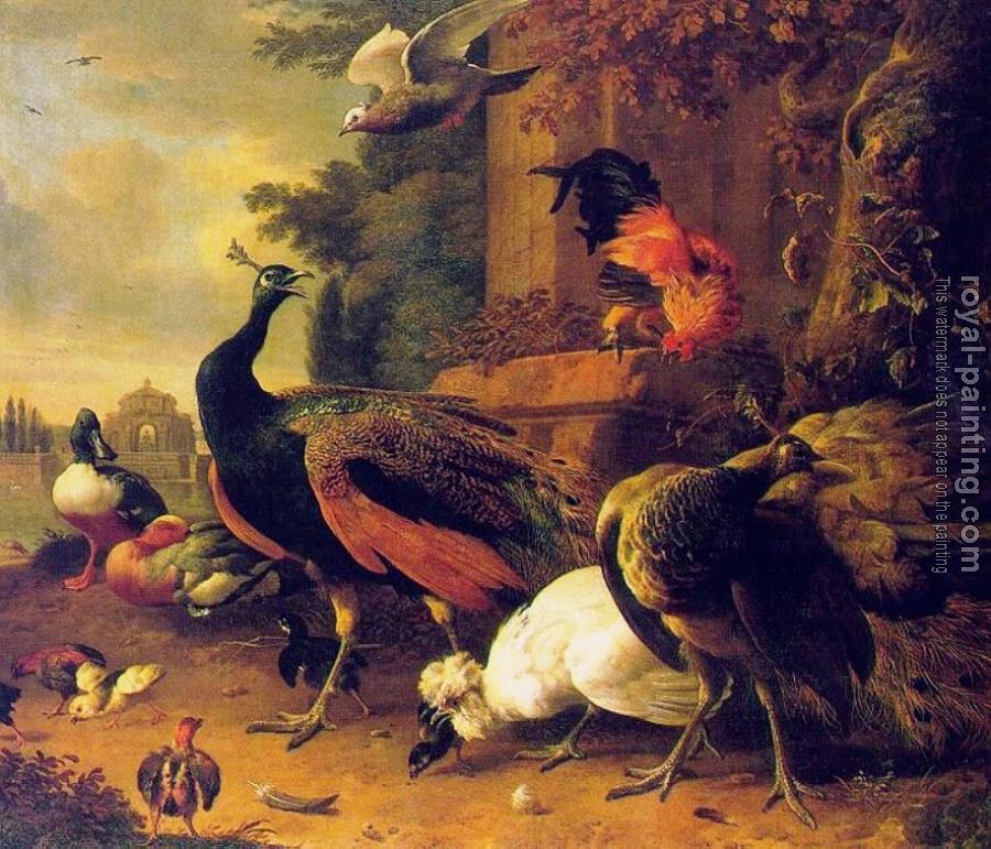 Melchior De Hondecoeter : Birds